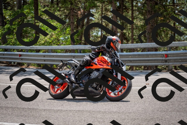 202508161408-DSC_5940_c2