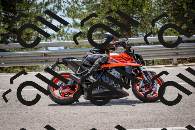 202508161408-DSC_5941_c2