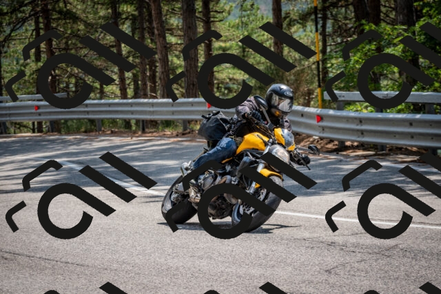 202508161408-DSC_5942_c2