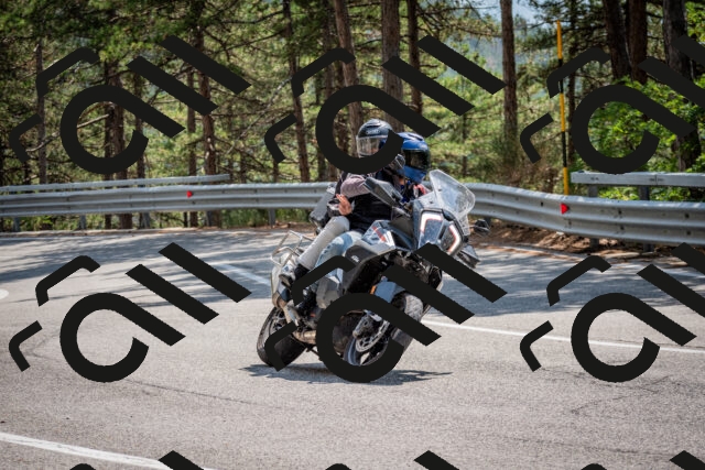 202508161409-DSC_5945_c2