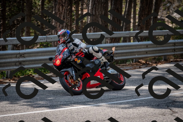 202508161415-DSC_5951_c2