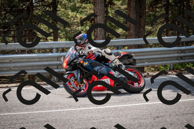 202508161415-DSC_5952_c2