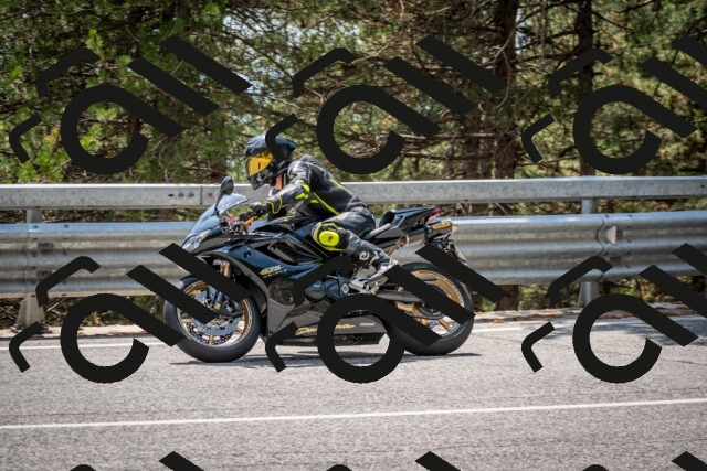 202508161415-DSC_5953_c2