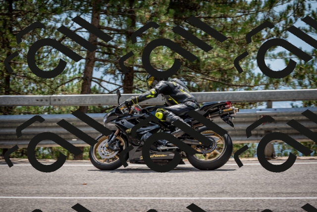 202508161415-DSC_5955_c2