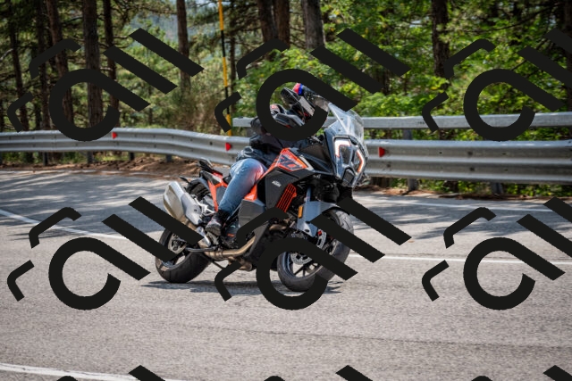 202508161415-DSC_5959_c2