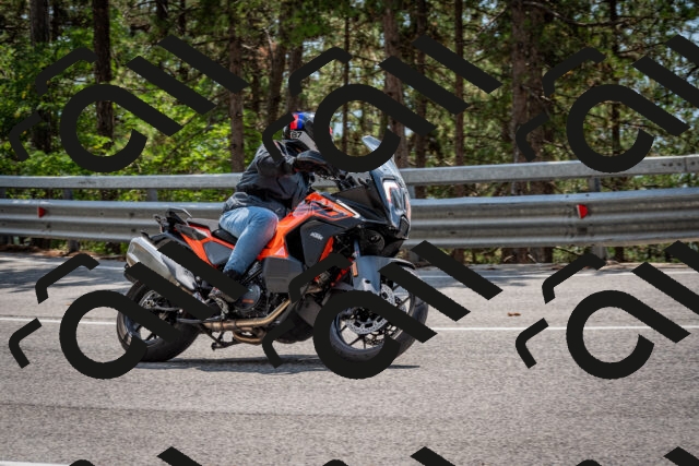 202508161415-DSC_5960_c2