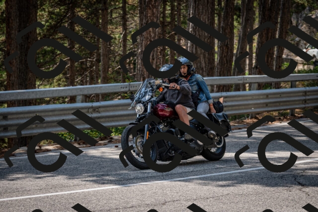 202508161422-DSC_5967_c2