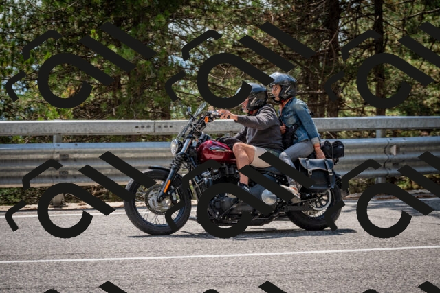 202508161422-DSC_5968_c2