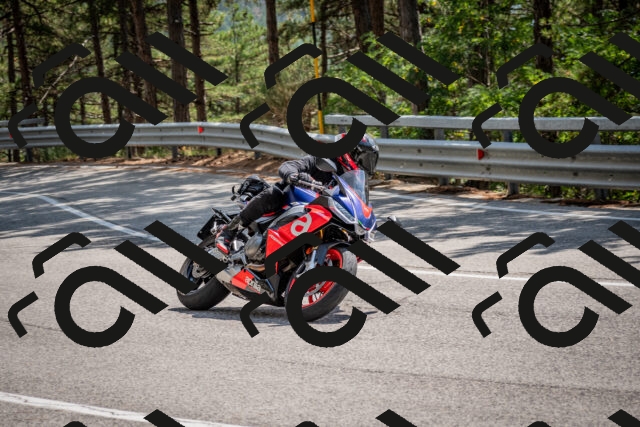 202508161425-DSC_5977_c2