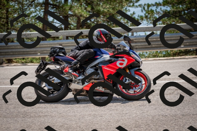 202508161425-DSC_5979_c2