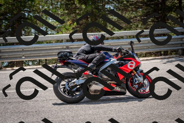 202508161425-DSC_5980_c2