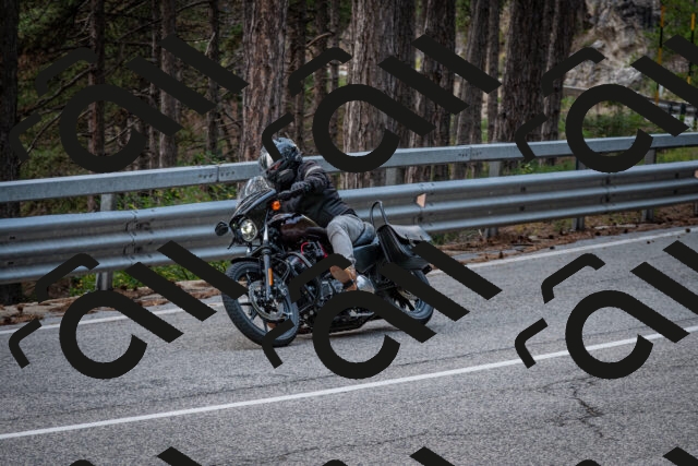 202508161430-DSC_5991_c2