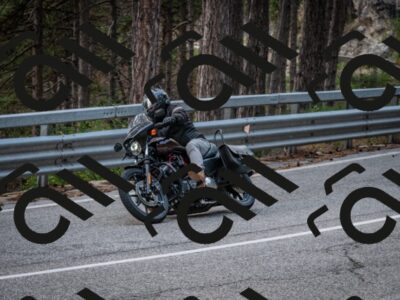 202508161430-DSC_5991_c2