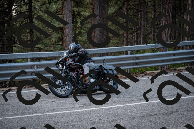 202508161430-DSC_5992_c2