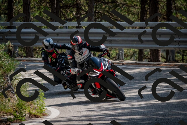 202508161439-DSC_5994_c2