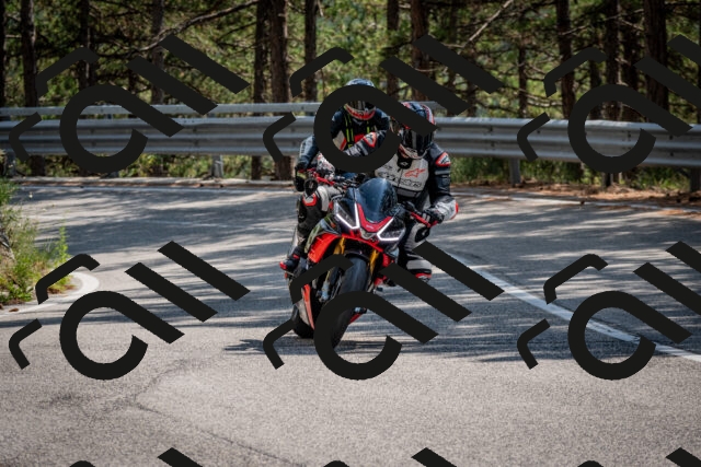 202508161439-DSC_5996_c2