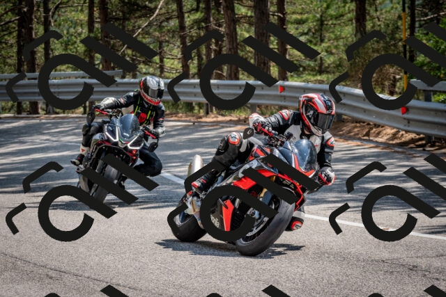 202508161439-DSC_5998_c2