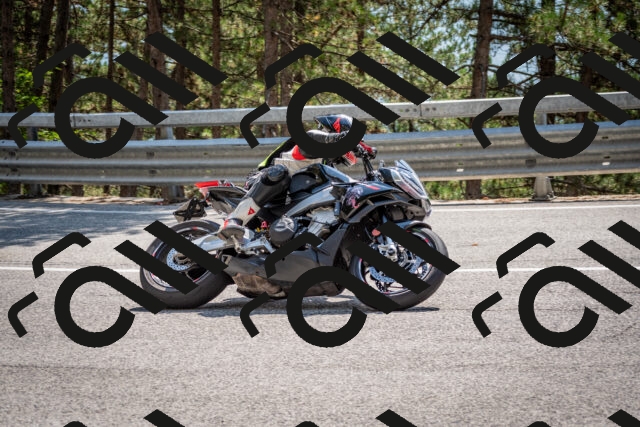 202508161439-DSC_6000_c2