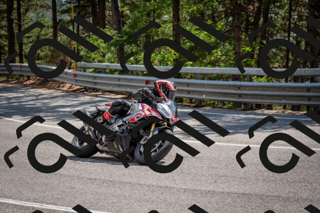 202508161439-DSC_6005_c2