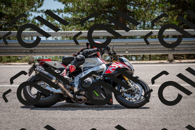 202508161439-DSC_6007_c2