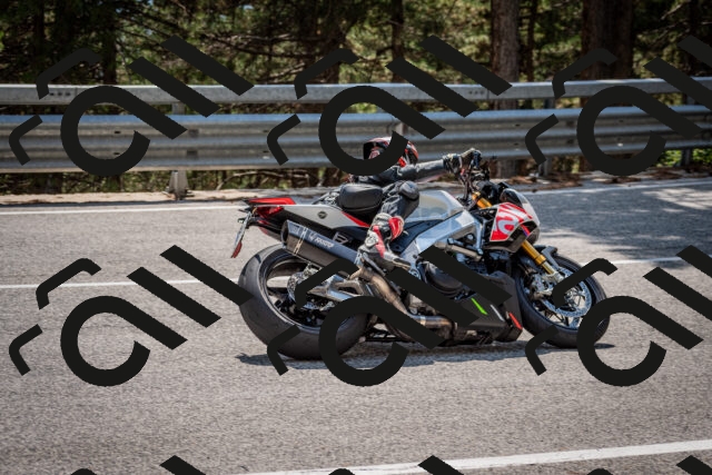 202508161439-DSC_6008_c2