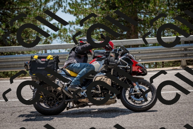 202508161439-DSC_6011_c2