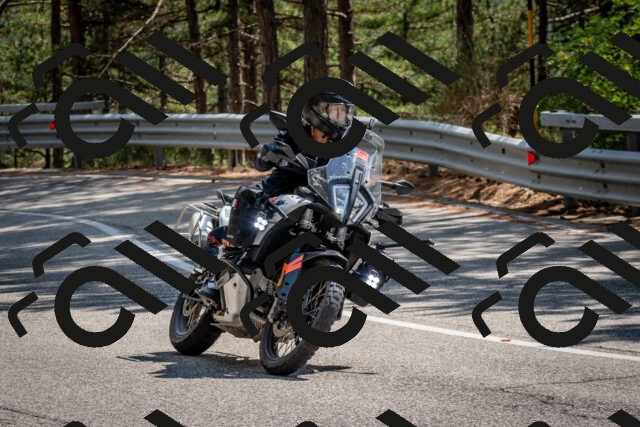 202508161441-DSC_6012_c2