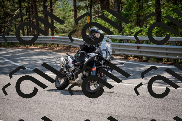 202508161441-DSC_6013_c2