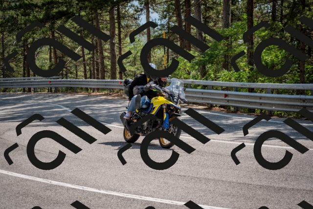 202508161441-DSC_6018_c2