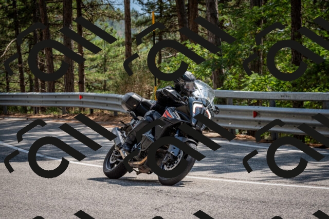 202508161442-DSC_6021_c2