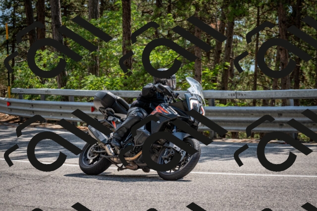 202508161442-DSC_6022_c2