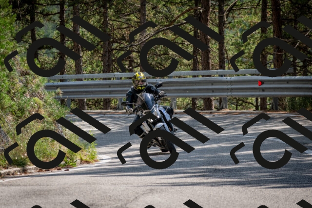 202508161446-DSC_6025_c2