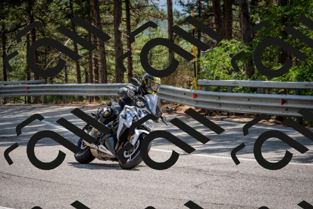 202508161446-DSC_6026_c2