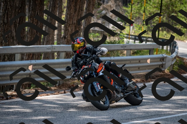 202508161456-DSC_6034_c2