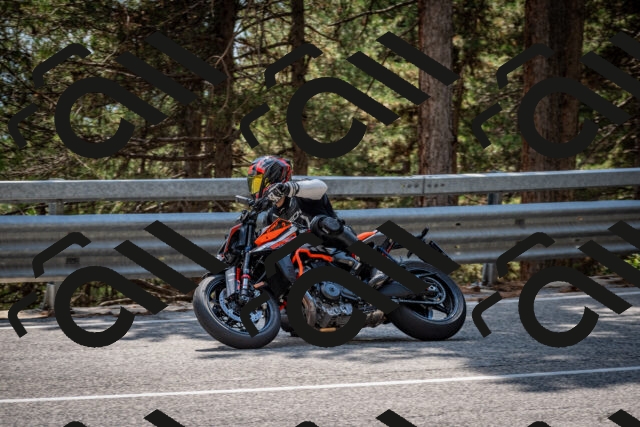 202508161456-DSC_6035_c2