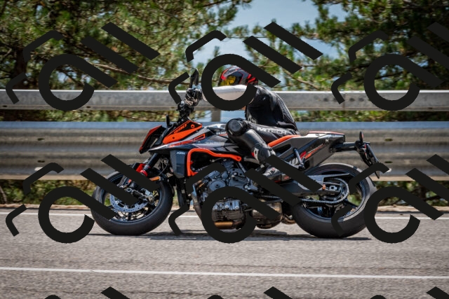 202508161456-DSC_6036_c2