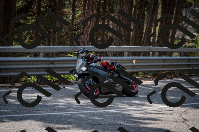 202508161456-DSC_6037_c2