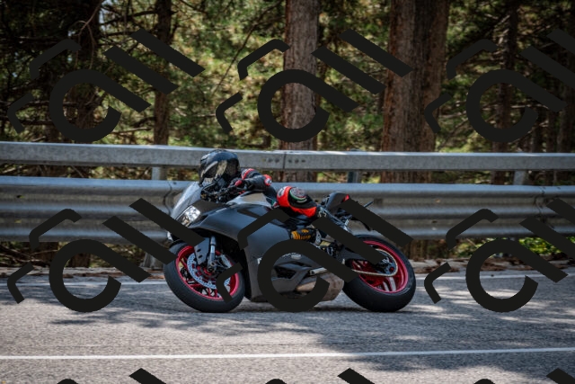 202508161456-DSC_6038_c2