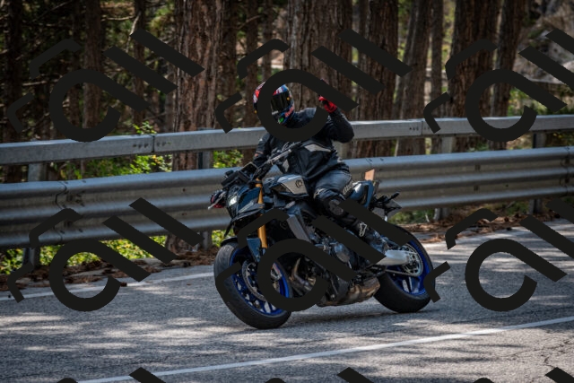 202508161456-DSC_6040_c2