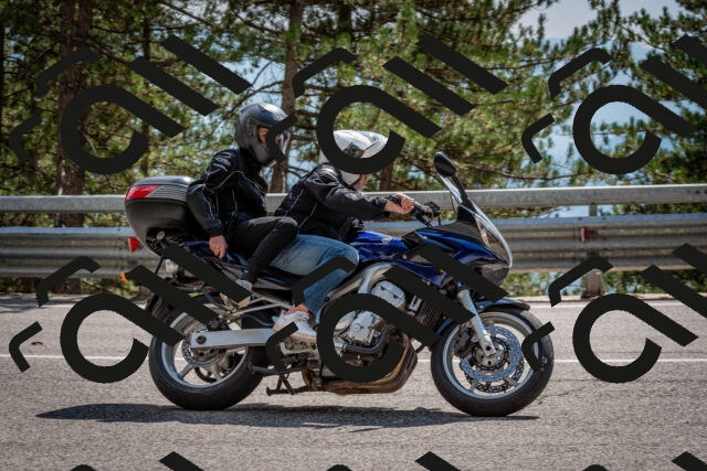 202508161510-DSC_6078_c2