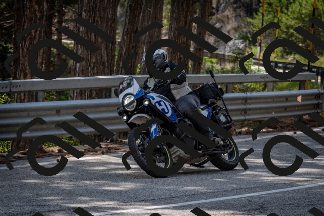 202508161512-DSC_6085_c2