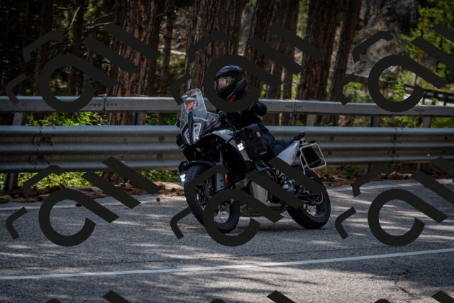 202508161512-DSC_6088_c2