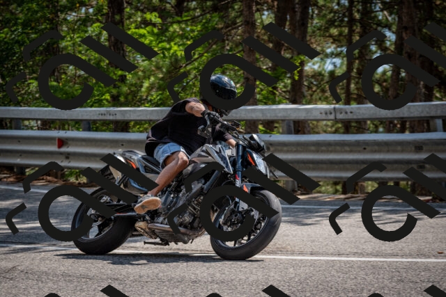 202508161513-DSC_6095_c2