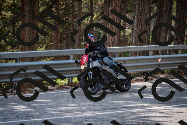 202508161514-DSC_6100_c2