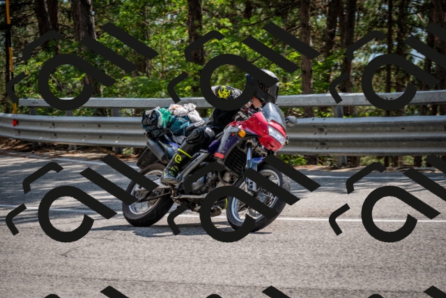 202508161515-DSC_6103_c2