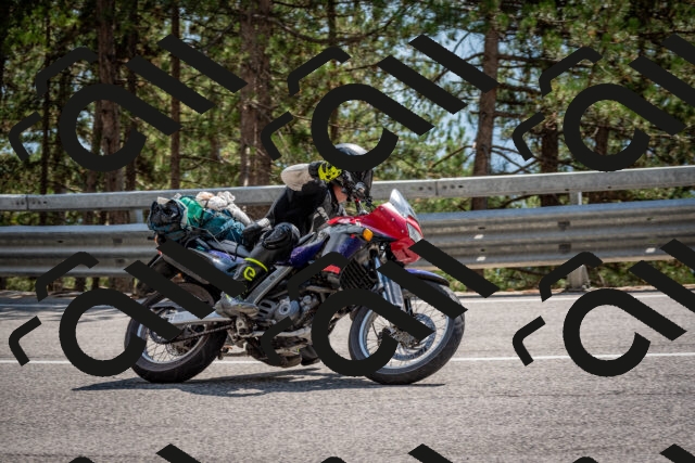 202508161515-DSC_6104_c2