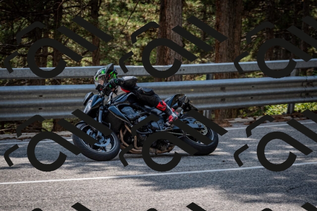 202508161515-DSC_6106_c2