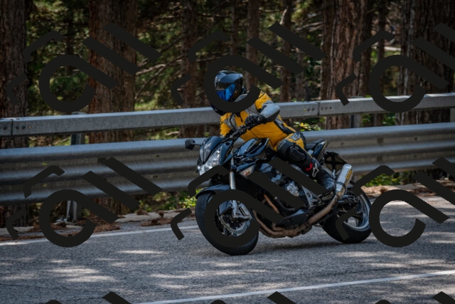 202508161515-DSC_6109_c2