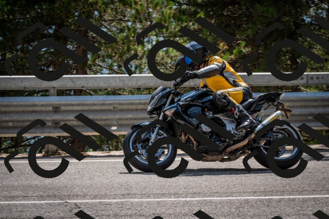 202508161515-DSC_6110_c2