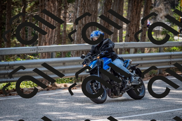 202508161515-DSC_6112_c2